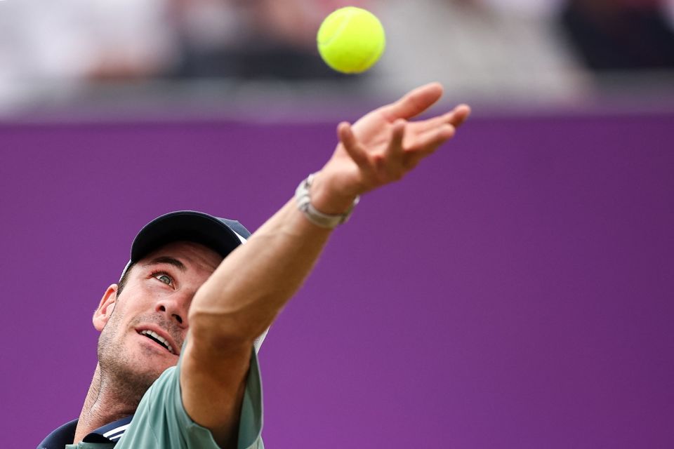 稳健开局 稳健开局