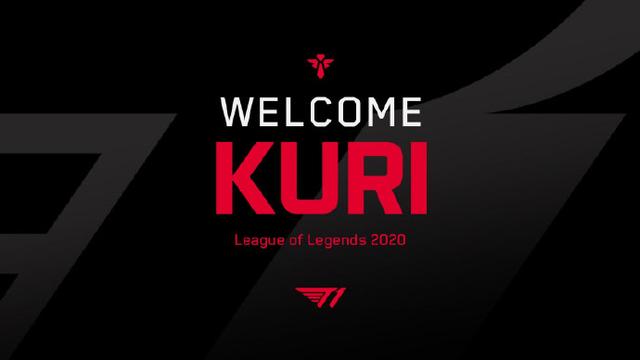 职业生涯增 职业生涯增